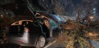 테슬라 모델 X 오토파일럿, 탑승자 8명 목숨 구해