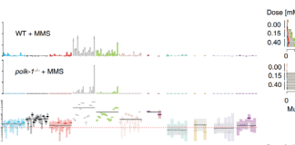 암 근본 원인 유전체 돌연변이 발생 메커니즘 규명